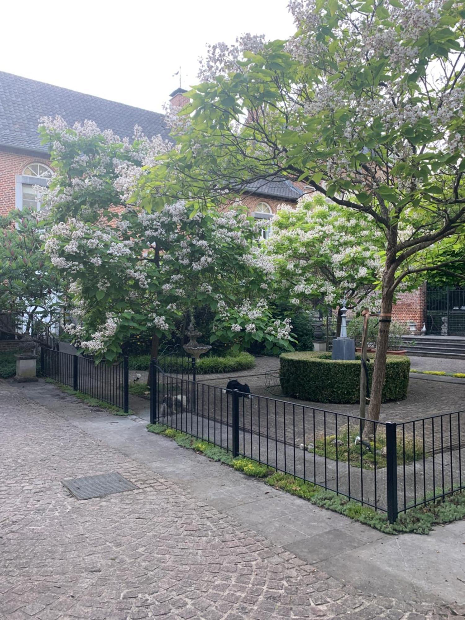 Vakantie Huizen De Heerlijkheid Satenbergh Villa Heers Eksteriør bilde